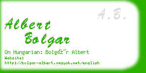 albert bolgar business card